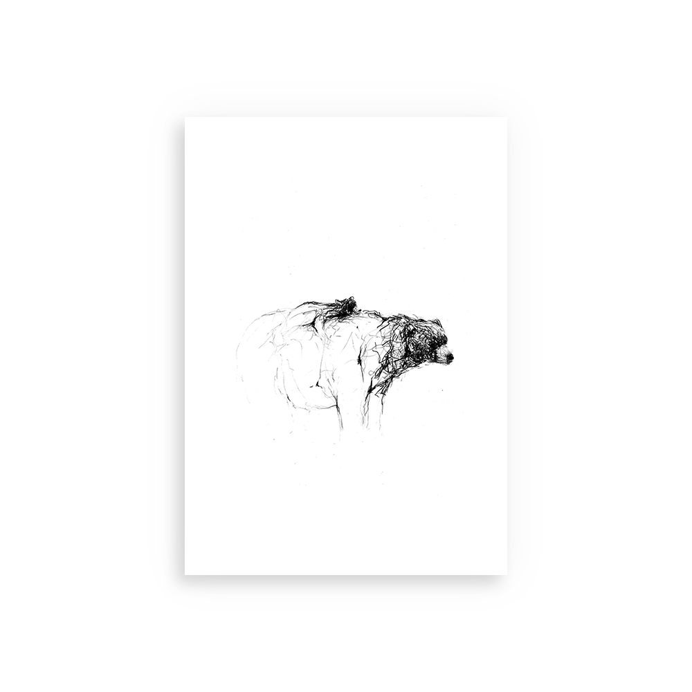 bears print