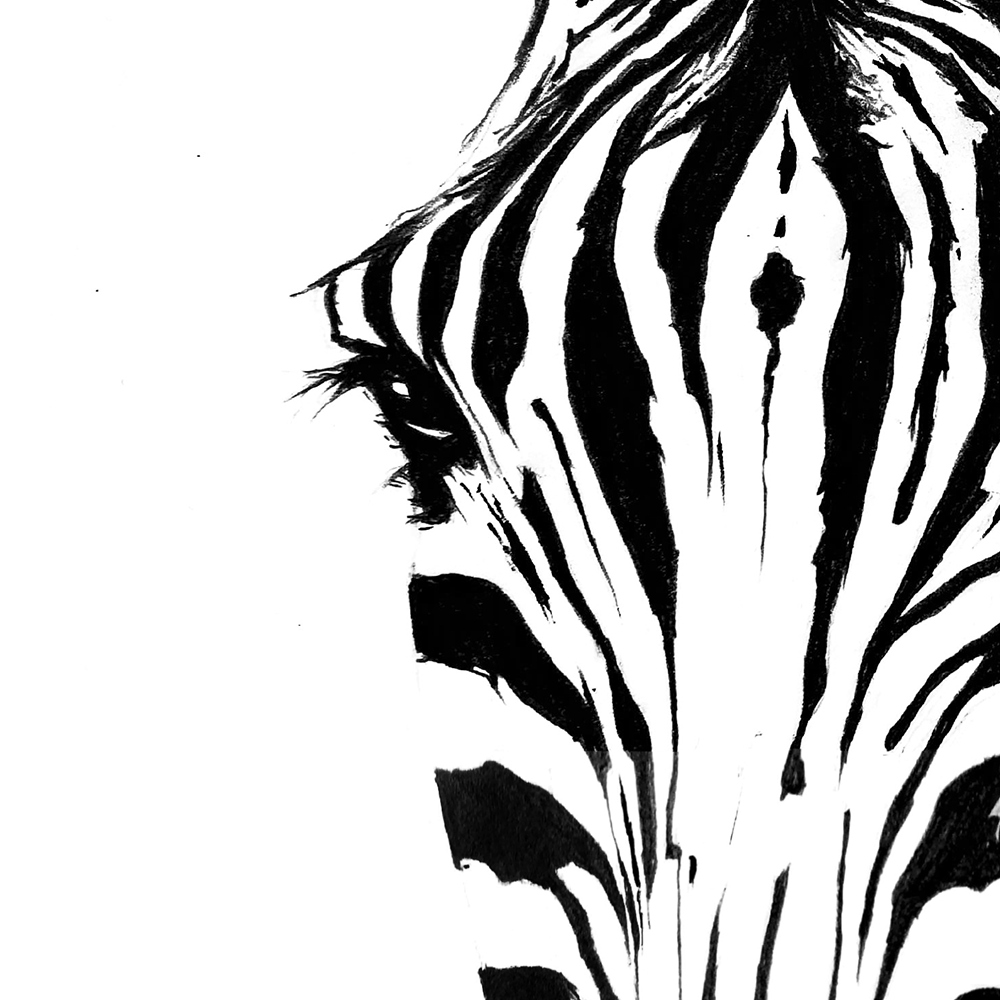 zebra print