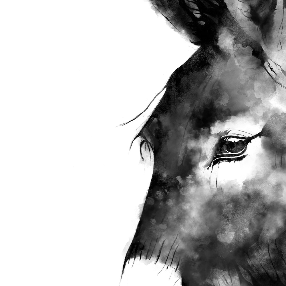 donkey print