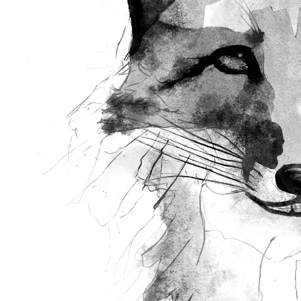 fox print