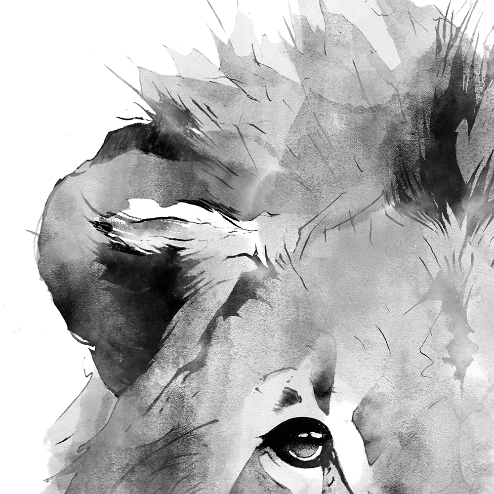 lion print