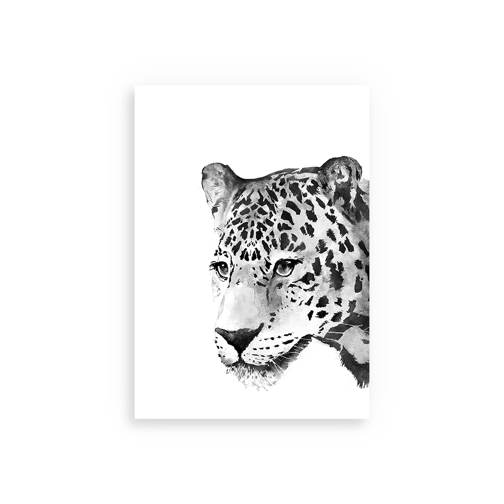 jaguar print