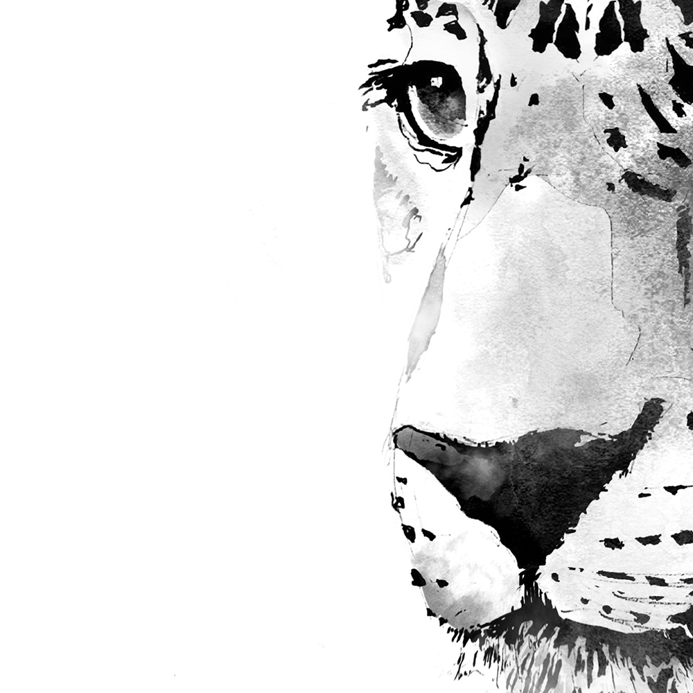 jaguar print