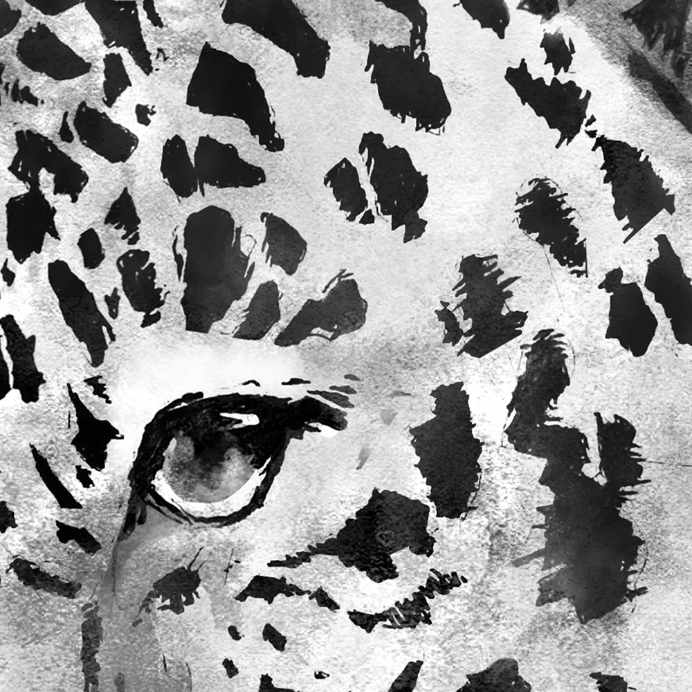 jaguar print
