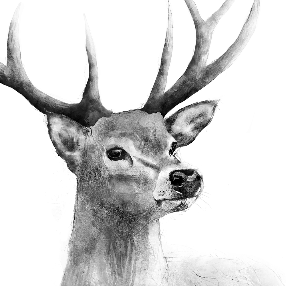 stag print