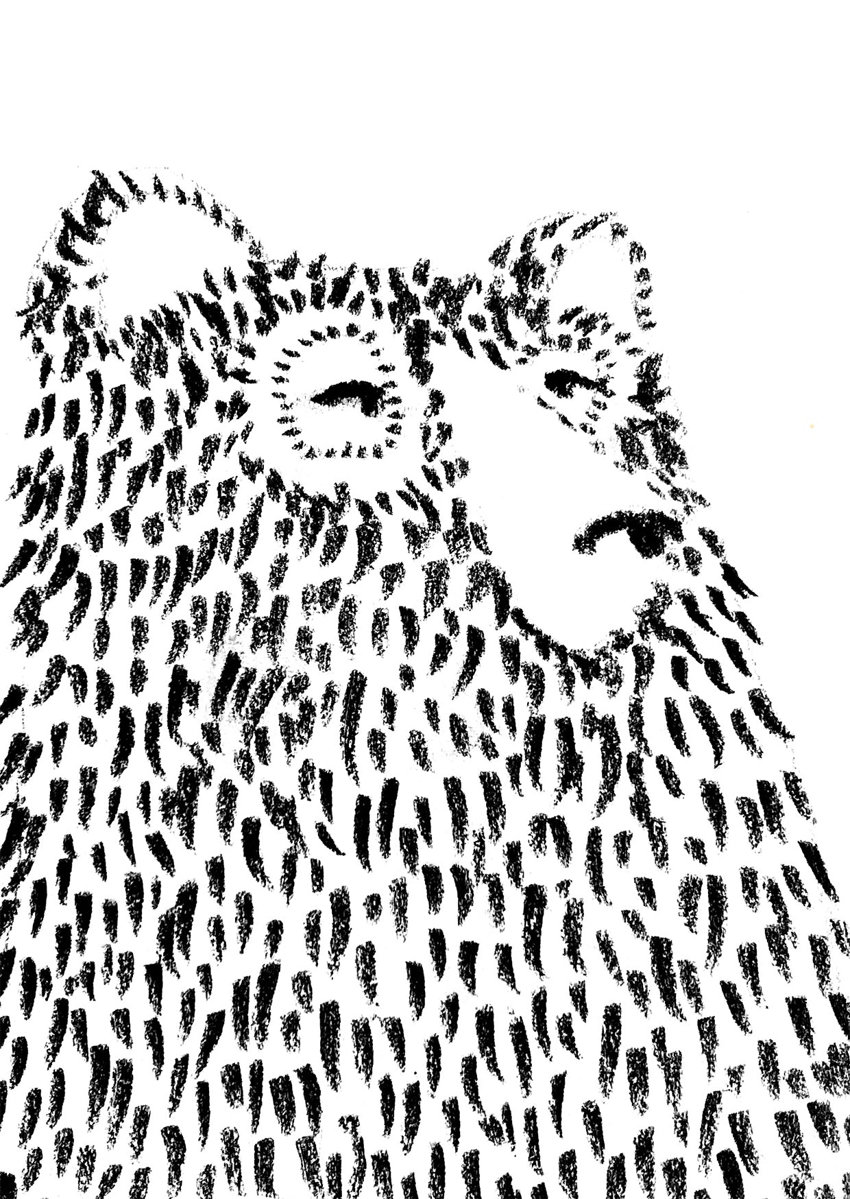 bear greetings card