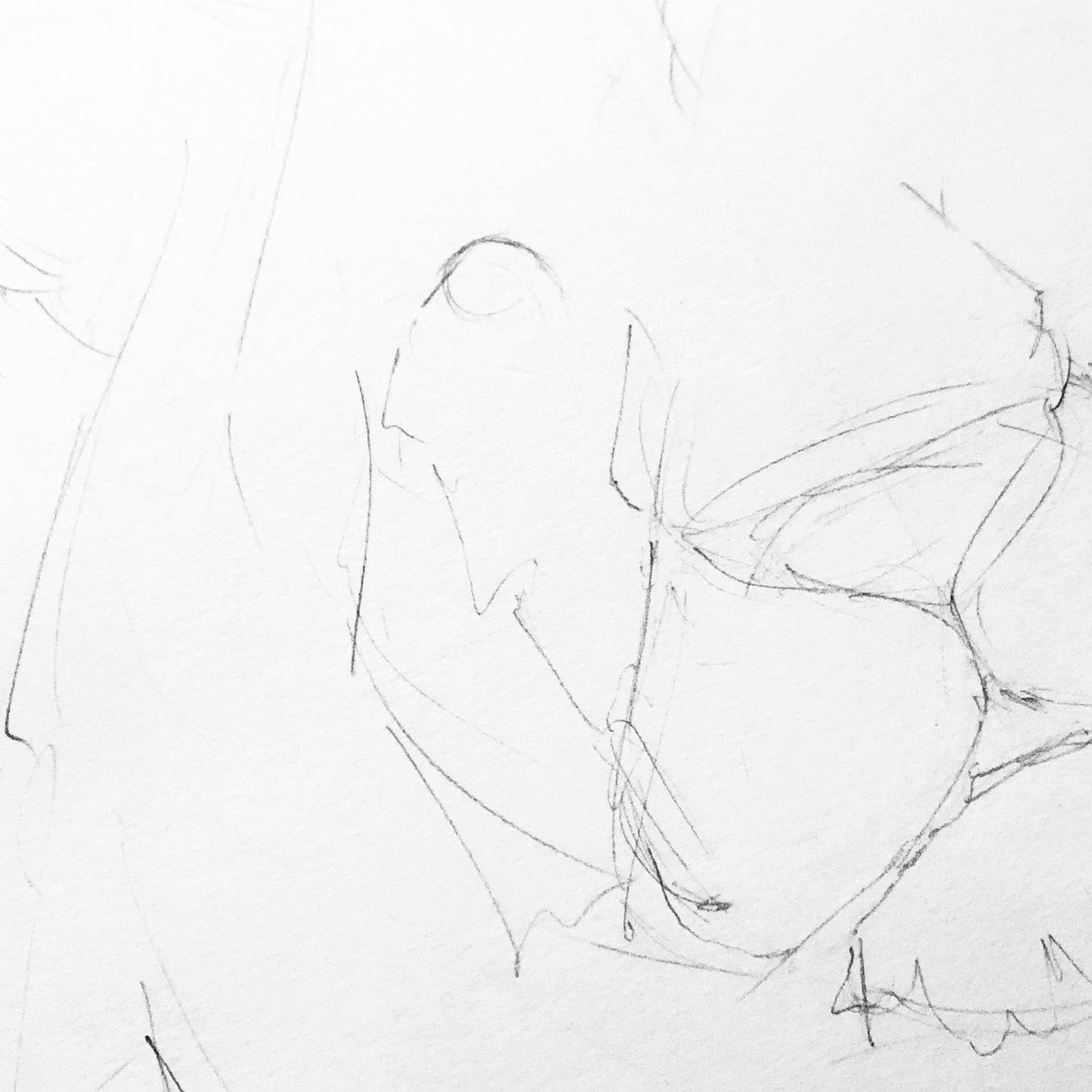 lion print