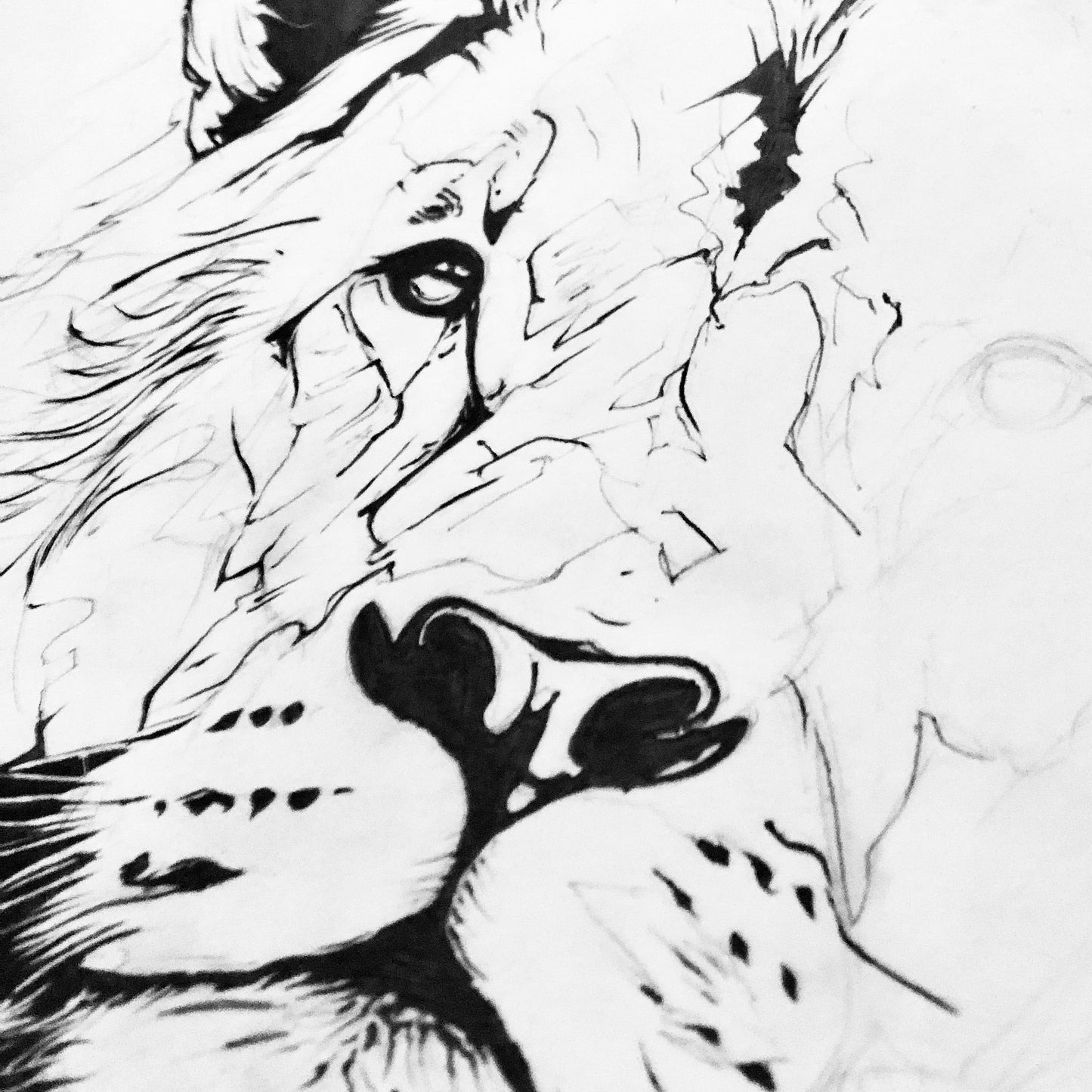 lion print