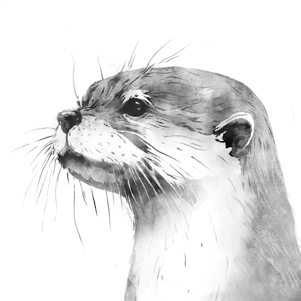 otter print