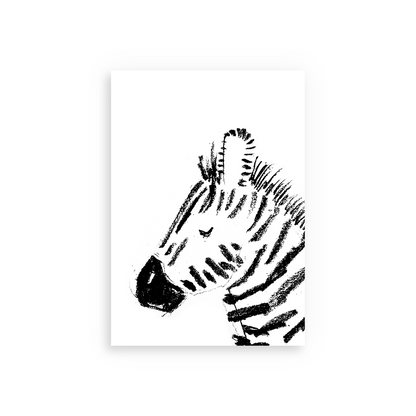zebra greetings card