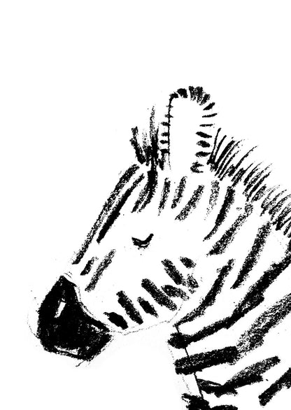 zebra greetings card